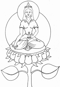 image of locana image of locana
